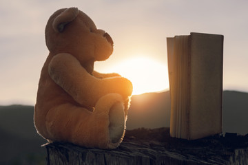teddy bear reading a book at sunset time
