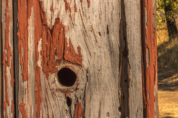Rustic textured barn wood grunge background