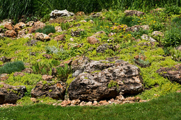 Obraz premium Natural mineral stone flint, sedimentary cryptocrystalline form of the mineral quartz. National natural park.