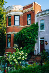 Garden and row houses in Capitol Hill, Washington, DC.