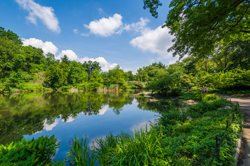 Fototapeta na wymiar The Pond, in Central Park, Manhattan, New York City