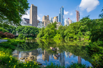 The Pond, in Central Park, Manhattan, New York City