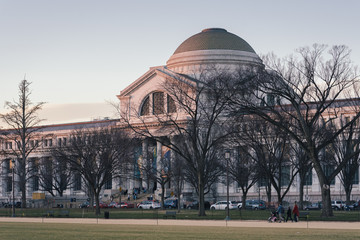 Obraz premium The Smithsonian National Museum of Natural History, in Washington, DC