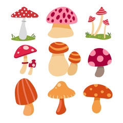 mushroom vector collection design