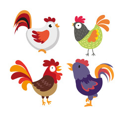 chicken character vector design