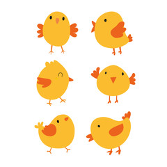 chick character vector design
