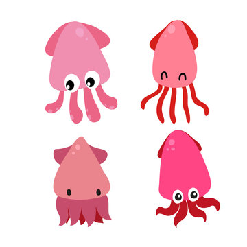 squid character vector design