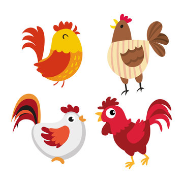 chicken character vector design