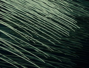 Obraz premium Abstract painting on canvas. Hand made art. Colorful texture. Modern artwork. Strokes of fat paint. Brushstrokes. Contemporary art. Artistic background image.