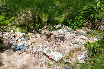 The garbage in the forest.