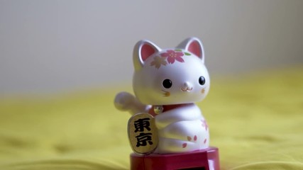 Search Photos Asian Cat Toy 0 17 A Cat Toy Waving Into The Camera