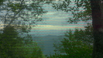 A psychedelic view of forest scenery in Western North Carolina.