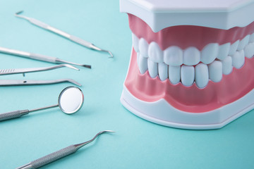 歯科用の器具と歯の模型
