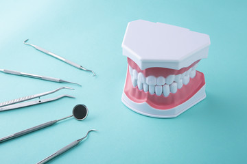 歯科用の器具と歯の模型