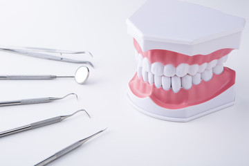 歯科用器具と歯の模型