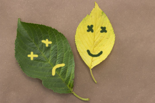 Yellow and green leaves with emotions Sadness and joy painted on them on brown background, autumn concept, emotions