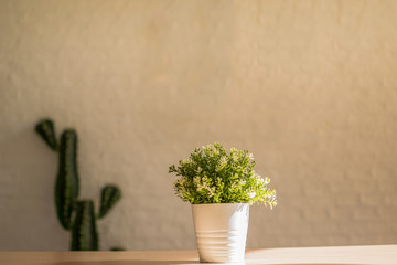 Grass in white vase on the wooden table inside coffee shop
