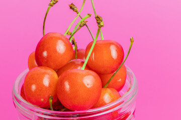 さくらんぼ　佐藤錦