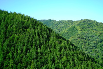 日本　九州　大分　田舎の山