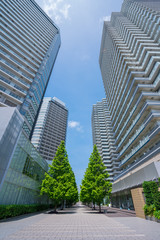 Obraz na płótnie Canvas 横浜みなとみらい21地区の高層マンション　都市風景
