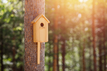 Birdhouse is attached to tree in forest sunlight. Concept spring