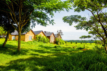 Obraz premium Landscape of Da Lat , Lam Dong province, Vietnam