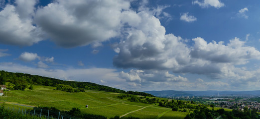 Obraz premium Panoramafoto Markgräflerland