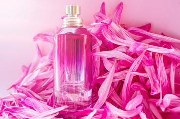 Obraz na płótnie Canvas perfume pink bottle lies on the pink petals of chrysanthemum