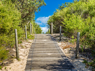 Obraz premium Access to Zenith Beach, Port Stephans, NSW, Australia