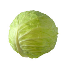 Cabbage.