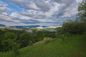 Obraz premium Sunrise above peaks of smoky mountain with the view of forest in the foreground. Dramatic overcast sky. Synevyr Pass. Zakarpatska oblast, Ukraine
