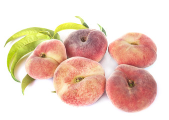Saturn peaches in studio