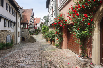 Fototapeta na wymiar An ancient pedestrian street with half-timbered houses and growing red roses in perspective. Bad Wimpfen, Baden-Wurttemberg, Germany.