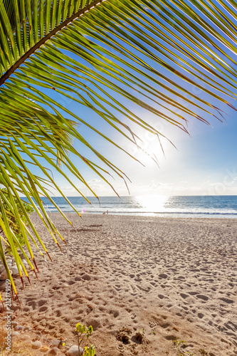 Plage Ensoleillée De Boucan Canot Sous Les Palmiers île De