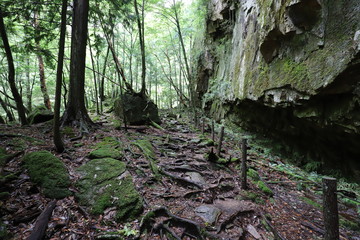 十津川村　笹の滝