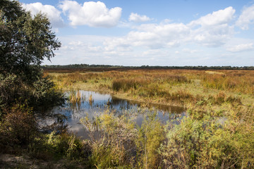 Small lake in the middle of sandy  landscape