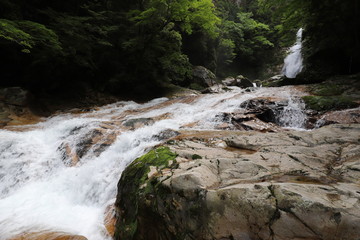 十津川村　笹の滝