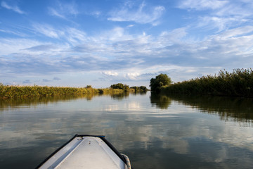 Canoeing between reeds and trees growing in the Danube Delta