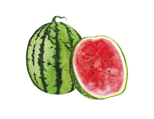 Watermelon illustration watercolor
