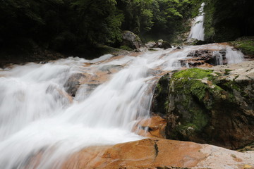 十津川村　笹の滝