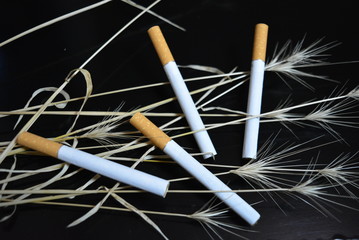 Many cigarettes with ears of dry grass on a black glossy background