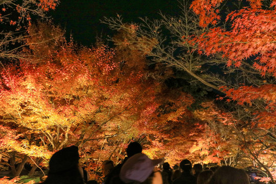 The loaction at Eikando temple gont door at night