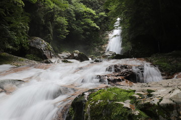 十津川村　笹の滝