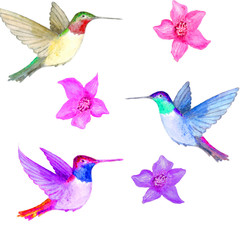 Watercolor. Flowers and three birds in the air.
