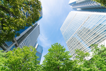 東京風景・高層ビル・新緑