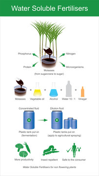 Sugarcane molasses is fermented to produce microorganisms.