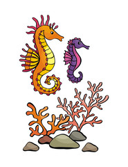 Image of lovely sea inhabitants in doodle style. Vector illustration isolated on a white background.