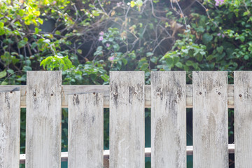 White old wooden fence with flower and tree