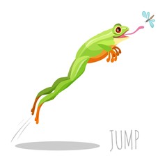 Frog jumping to catch fly isolated on white icon