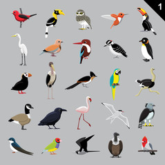 Various Birds Cartoon Vector Illustration 1